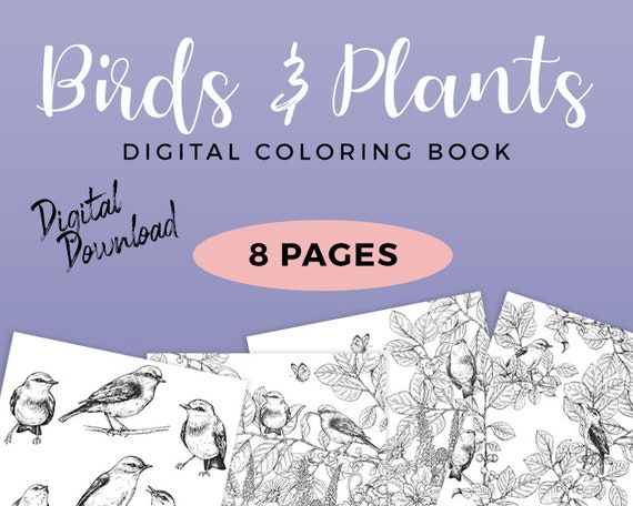 Birds & Plants Coloring Pages Sketch Nature Birds - Etsy