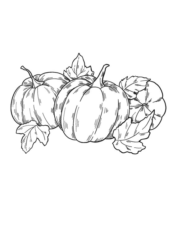 Pumpkin Leaves Coloring Pages