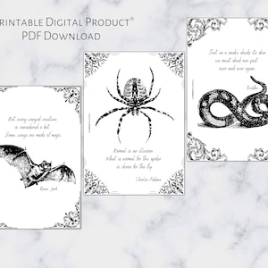 May include: Three printable black and white illustrations with gothic-style borders. The first illustration features a bat with the text "Not every winged creature is considered a bat. Some wings are made of magic." The second illustration features a spider with the text "Normal is an illusion. What is normal for the spider is chaos for the fly." The third illustration features a snake with the text "Just as a snake sheds its skin we must shed our past over and over again."