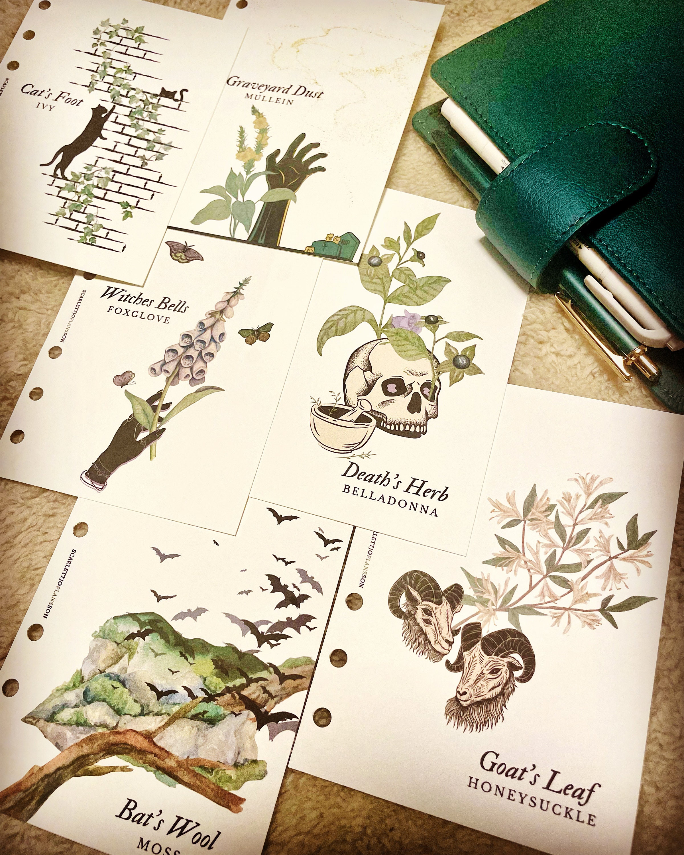 A6 Ghoulish Garden Dashboard Bundle Printable Planner Dashboard A6 Size