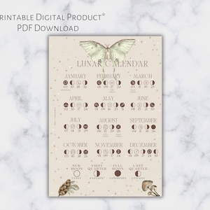 Maanfasekalender 2026 | Pocketplanner-dashboard (digitale download)