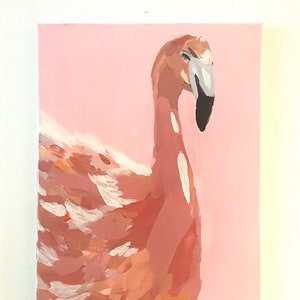 Flamingo