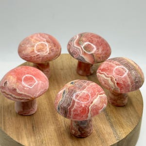 Sculptures de champignons en rhodochrosite, Argentine