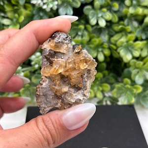Calcite Sphalerite Quartz Gordonsville Mine, Smith County Tennessee