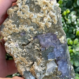 Fluorite et quartz fantômes violets sur mica jaune provenant de la mine de Yaogangxian, Hunan, Chine
