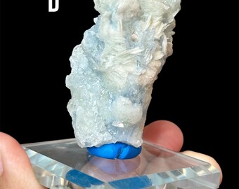 結晶化した青いアラゴナイト ~ メキシコ - Etsy 日本