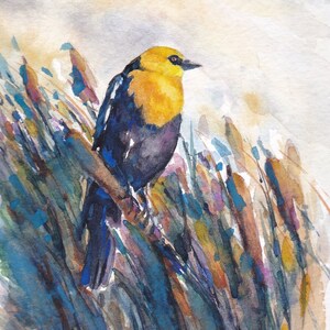 Original Watercolor - Yellow Headed Blackbird