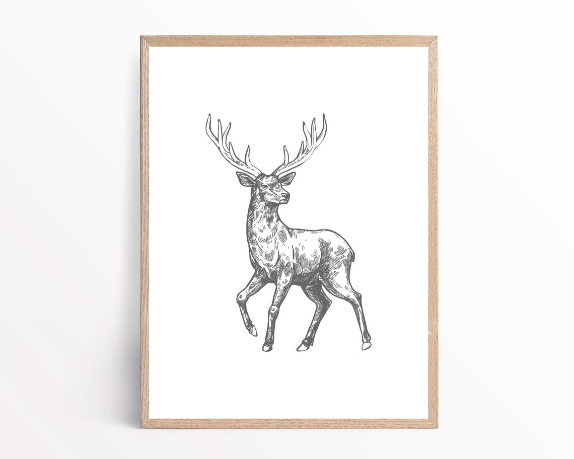 Deer Wall art Deer wall art & Animal wall art Deer canvas Etsy