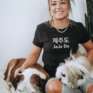 Jeju Island Tshirt, Korean Tshirt, Hangul Tshirt, Korean Gifts, Bella Canvas Tshirt