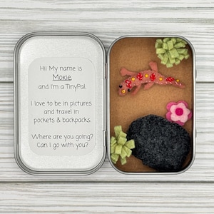 May include: An open silver tin containing a felt lizard with red and yellow accents, a black felt rock, and felt plants. The left side of the tin has text that reads, "Hi! My name is Moxie and I'm a TinyPal."
