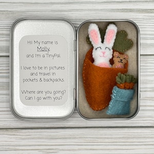 May include: A small, open tin containing a felt bunny in an orange carrot, a small bear, and a blue felt pot. The tin also has a white label with the text "Hi! My name is Molly, and I'm a TinyPal. I love to be in pictures and travel in pockets & backpacks. Where are you going? Can I go with you?"