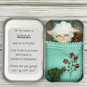 May include: A small, open metal tin containing a felt sheep toy with a teal blanket and a small brown bear. The tin also includes a label with the text "Hi! My name is Greylyn, and I'm a TinyPal."