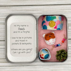 May include: An open silver tin containing felt TinyPal accessories. The tin includes a felt bracelet, a cupcake, a small ball, a green felt piece, and a beaded strand. Text on the left reads, "Hi! My name is Peach, and I'm a TinyPal."