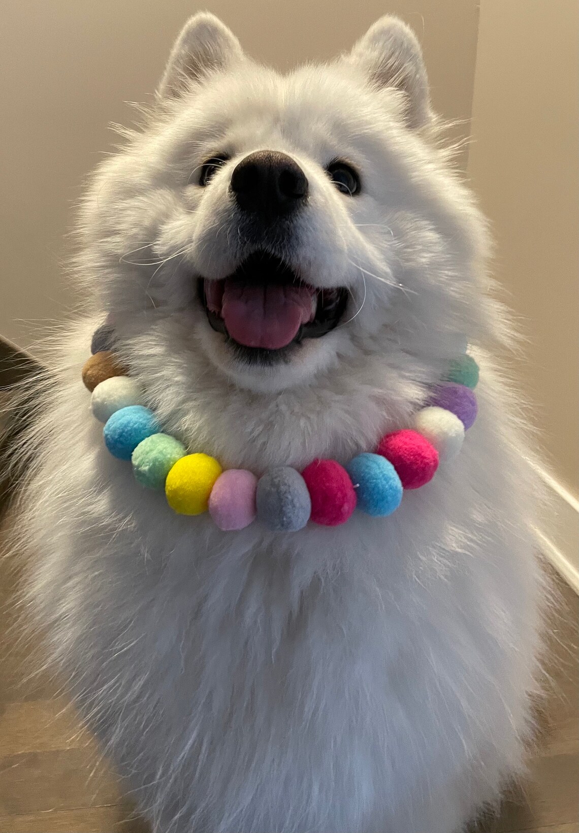 Rainbow Pom Poms DOGs/CATs Collars Pets Decorations/Holiday Etsy