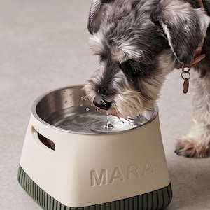 Puede incluir: Un cuenco para mascotas de color crema con interior de acero inoxidable y base acanalada de color verde oscuro. La palabra MARA está grabada en el lateral del cuenco. El cuenco cuenta con asas laterales integradas y está lleno de agua.