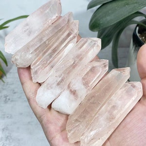 Puede incluir: Una colección de siete puntas de cristal de cuarzo transparente con un ligero tono rosado. Las puntas están dispuestas en forma de abanico y miden aproximadamente 5-7,5 cm de largo.