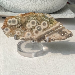 Natural Ocean Jasper Gemstone Quality Ocean Slice, Old Stock Ocean Jasper Slab, Colección de cristal, Orb Jasper Slice, Regalo de cumpleaños