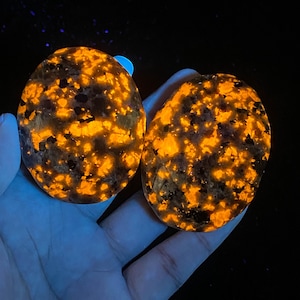 May include: Two round, dark gray stones with a speckled pattern of bright orange and yellow. The stones are glowing under a blacklight.
