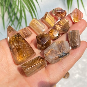 May include: A collection of golden rutilated quartz crystals in various shapes and sizes. The crystals are translucent with golden inclusions.
