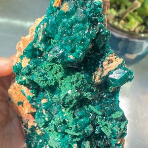 Natural Stunning Green Dioptase With Malachite, Mineral Specimens From Congo,  Green Dioptase Specimen, Excellent Dioptase, RawSpecimen