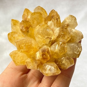 Naturel Citrine Améthyste Cristal Druse Quartz Cluster Pierre