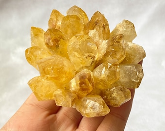 Collection Druzy de fleurs en grappe de citrine , Grappes de cristal , Cadeaux en cristal de spécimen de grappe de quartz , Spécimen minéral pour collection de roche