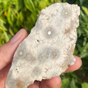 Natürliche 8th Ader Ocean Jaspis Scheibenscheibe, Old Stock Ocean Jaspis, Crystal Chakra, Crystal Collection, Crystals Slab, Jubiläumsgeschenk
