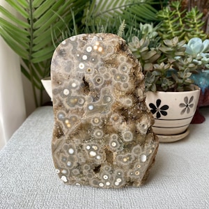 Atemberaubende High Grade 8th Ader Ocean Jaspis Freeform, Augenhöhlen Jaspis, Druzy Augenhöhlen Ozean Jaspis Sphäre, Crystal Raw Freeform