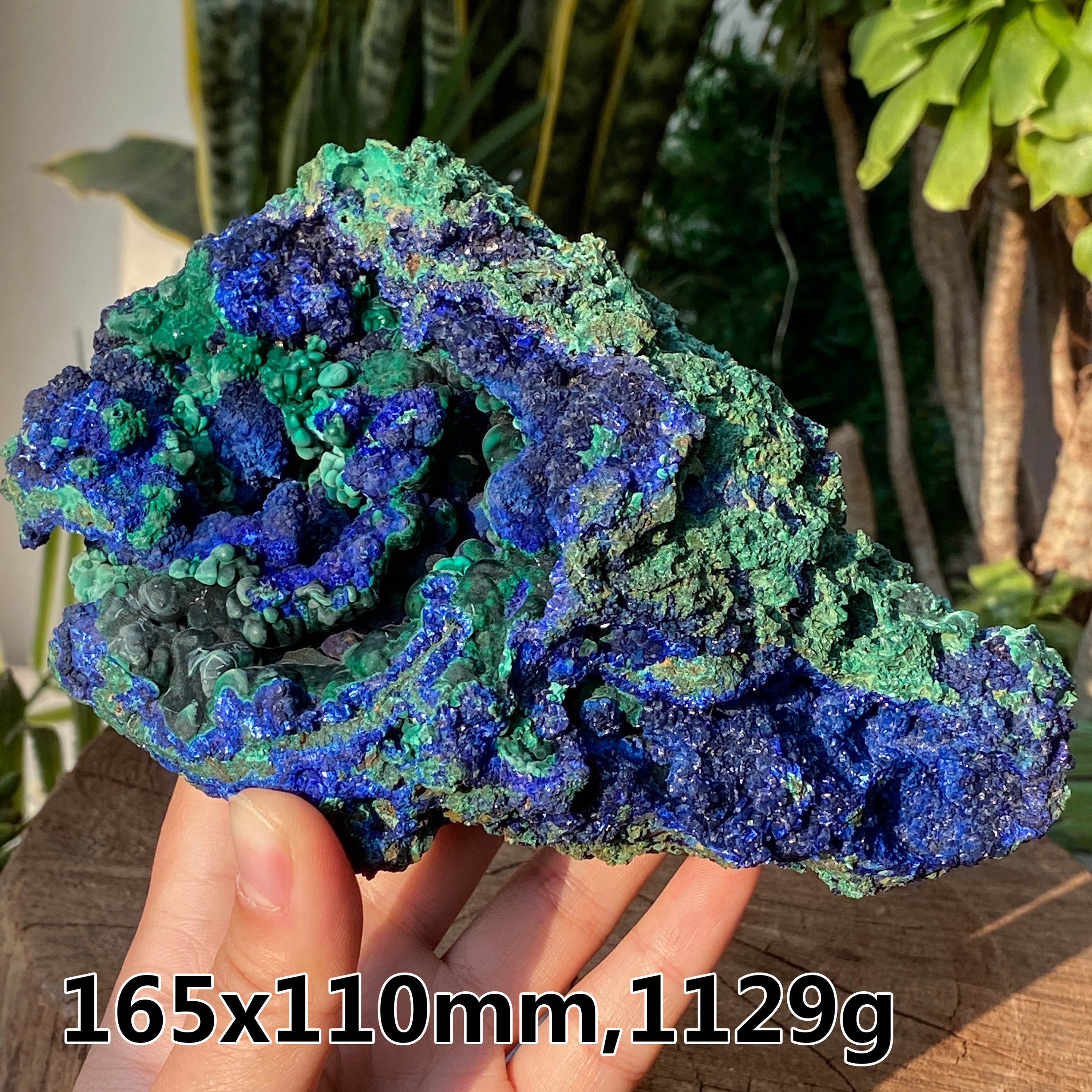 1129g アズライト クリスタル クラスター、天然アズライト標本、ホーム