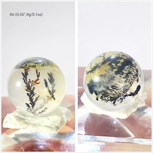 Mini Dendritic Quartz Sphere , Dendritic Quartz Palm Stone , Growth Crystal , Universal Life Crystal , Manifestation Crystal