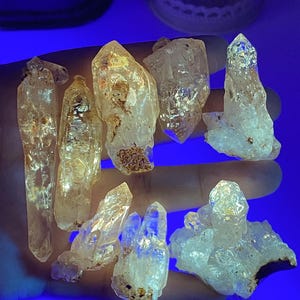 Peut inclure: Un ensemble de huit pointes et amas de cristaux de quartz transparents présentant des fractures internes visibles et des inclusions minérales brunes. Les cristaux ont une surface brillante et réfléchissante sous lumière ultraviolette.