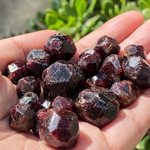 May include: A collection of deep red garnet crystals, each with a faceted, geometric shape. The crystals are arranged in a hand, showcasing their natural beauty and unique formations.