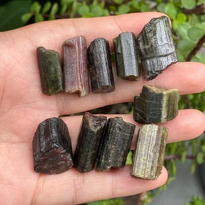 Op de afbeelding: Een verzameling ruwe toermalijnkristallen in verschillende tinten groen, bruin en roze. De kristallen, vastgehouden in een hand, tonen natuurlijke, ruwe texturen en unieke vormen. De kristallen variëren in grootte en kleur.