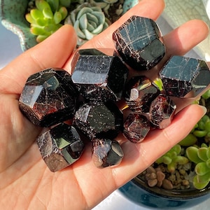 May include: A collection of ten dark red, faceted, garnet crystals. The crystals are various sizes and shapes, and are arranged in a hand.