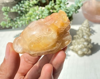 Natural Yellow Garden Quartz Dragon Turtle , Crystal Dragon Turtle Carving , Crystal Collection , Stunning Spiritual Decor , Special Gift