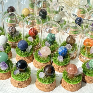 Mushroom Mini Terrarium Bottle , Crystal Mushroom Decoration , Healing Crystal Housewarming Gift , Crystal Collection , Spiritual Decor