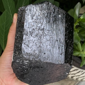 Puede incluir: Un gran espécimen de cristal de turmalina negra en bruto con una forma prismática hexagonal distintiva. La superficie presenta estrías verticales profundas y una textura brillante y reflectante, mostrando la formación mineral natural y el color oscuro.