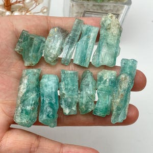 以下が含まれることがあります： 生の、アクアマリン色の結晶のコレクション。結晶はサイズと形状が異なり、半透明です。石は手で持たれており、自然で未研磨の状態を示しています。結晶は、明るい青緑色をしています。