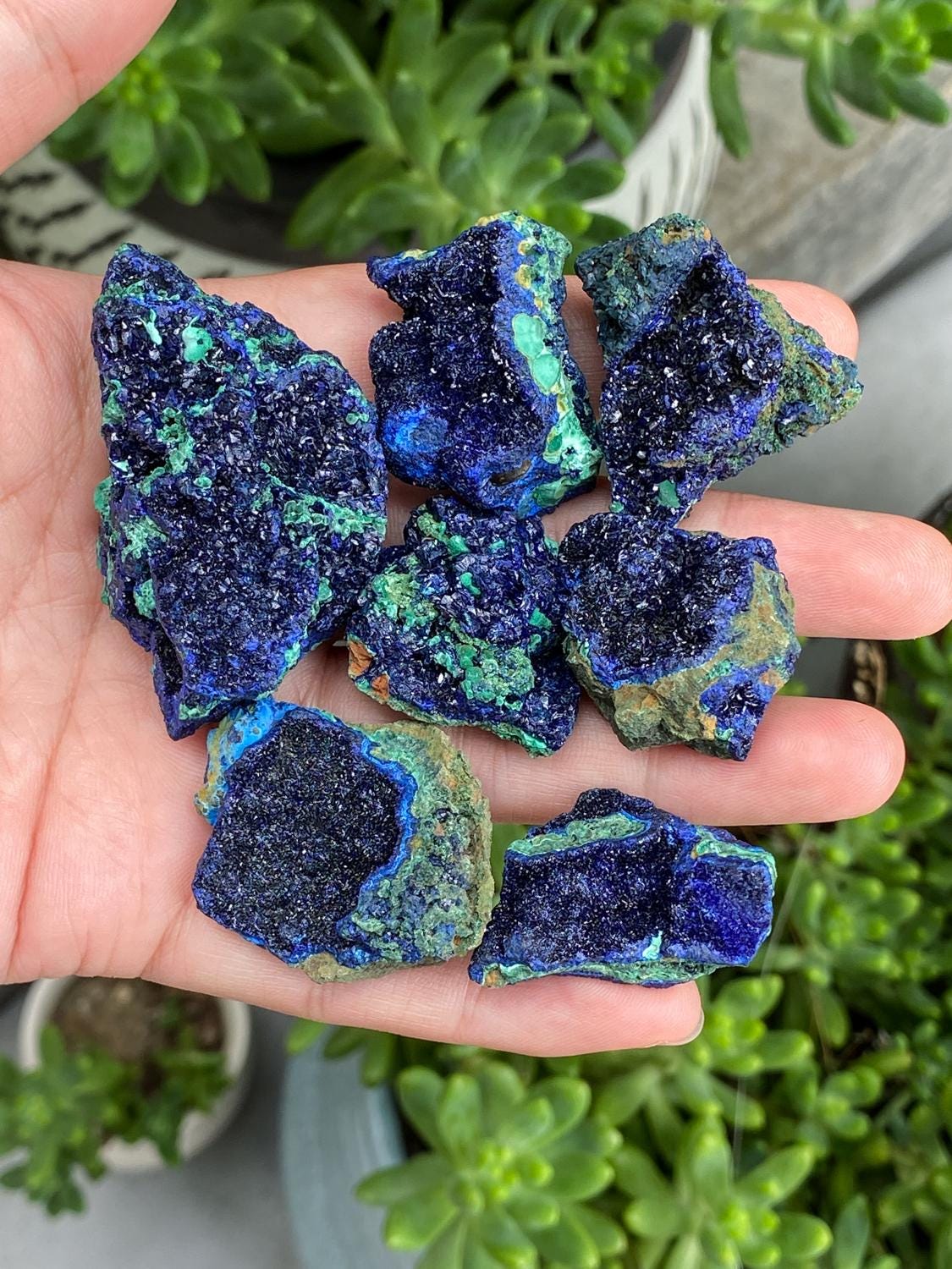 大型　ロシア産 アズライト×マラカイト 共生標本 約20cm 鉱物標本 原石 Azurite geode - Etsy 日本