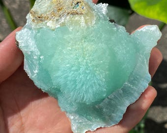 Puede incluir: Una mano sostiene un trozo de mineral de aguamarina. El mineral es de color azul verdoso claro con una formación cristalina radial en el centro. La parte superior del mineral es de color marrón claro.