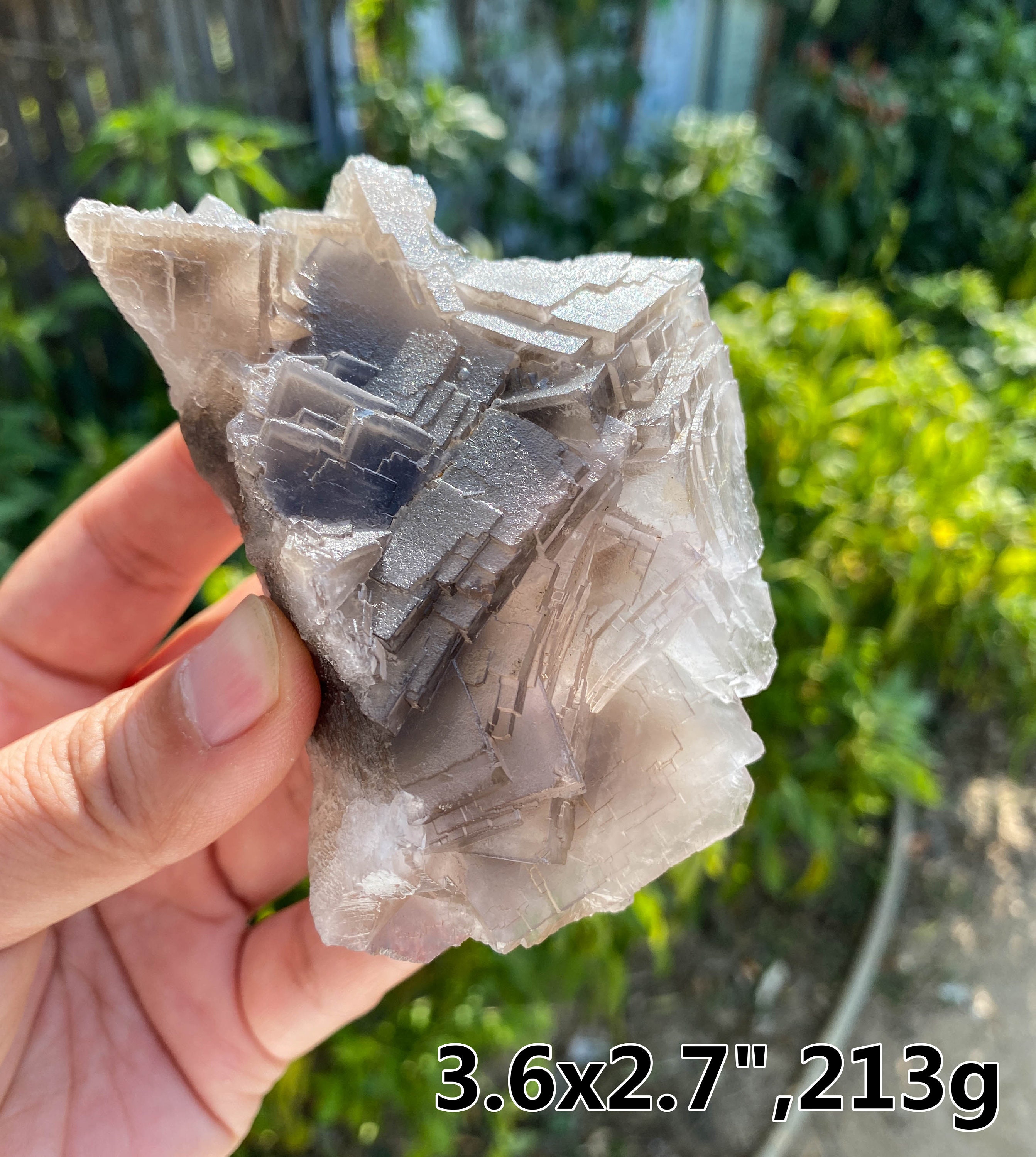 Black rose fluorite - Etsy 日本