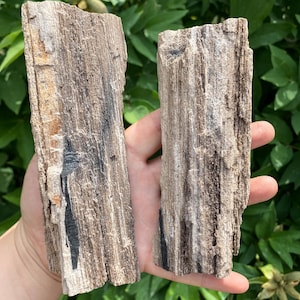 Natural Sparkling Permineralized Wood Specimen, Ancient Fossilized Wood With Quartz Crystals,Fossil Statement , Geology Collector&#39;s Dream