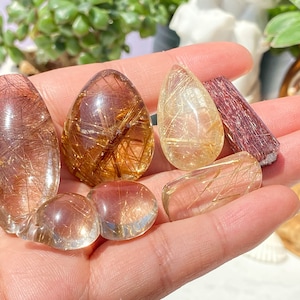 May include: A selection of polished gemstones in diverse shapes, such as oval, teardrop, and rounded. The stones are translucent with golden, hair-like inclusions, and a deep red-purple crystal is also present.