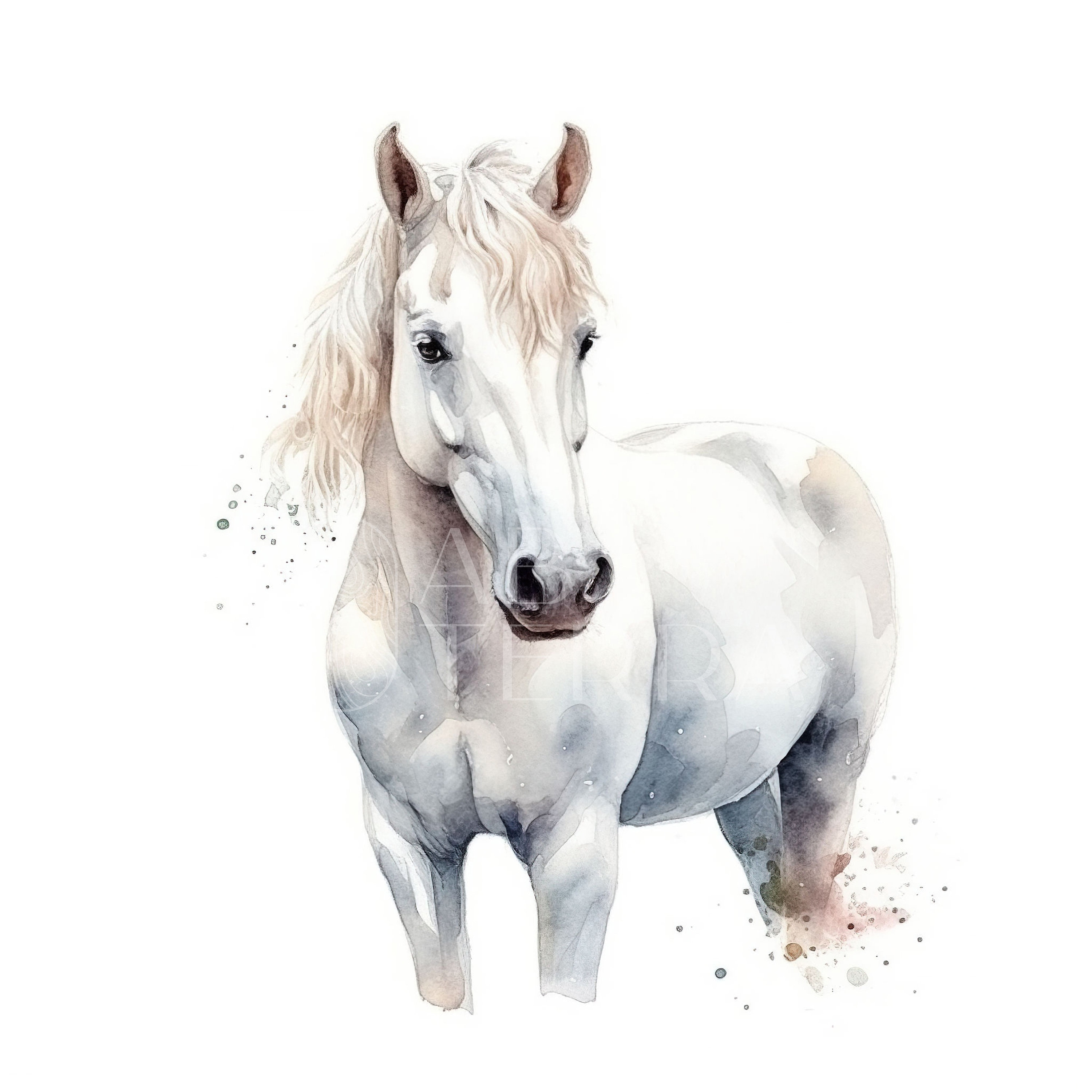10 White Horse Watercolor Clipart Bundle, White Horse Clipart, Horse