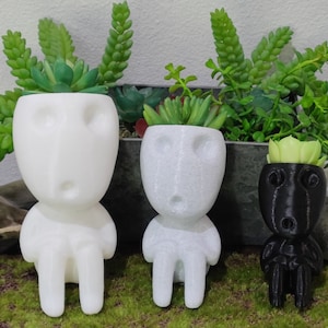 May include: Three 3D printed planters shaped like human figures, each with a different color and a succulent plant inside. The planters are white, gray, and black.