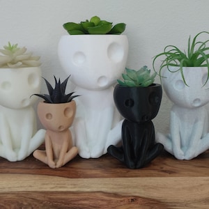 May include: Five white, black, and brown ceramic planters shaped like human figures with different plants growing inside. The planters are sitting on a wooden surface.