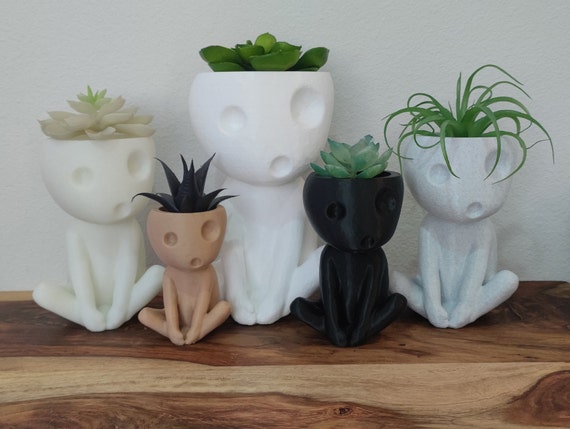 Kodama Japanese Tree Spirit Planter Succulent Air Plant