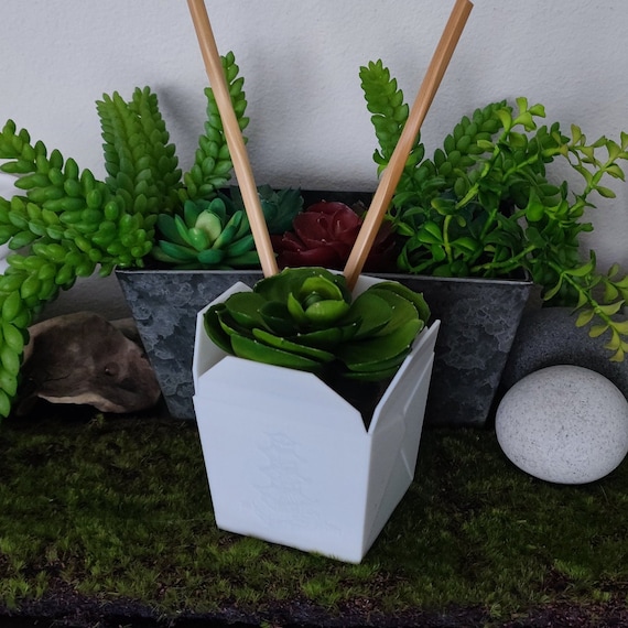 Chinese Takeout Box Planter Succulent Air Plant Etsy