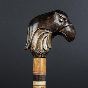 Cape Crow Walking Cane | Unique Hand Carved Wooden Staff | Exotic Bird Lover Gift