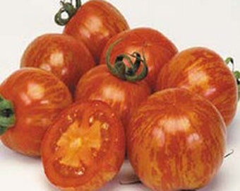 Freeze Dried Organically Grown Red Zebra Tomatoes - Sliced - Non-GMO - In Mylar Bag - FREE SHIPPING On Orders 35.00 +